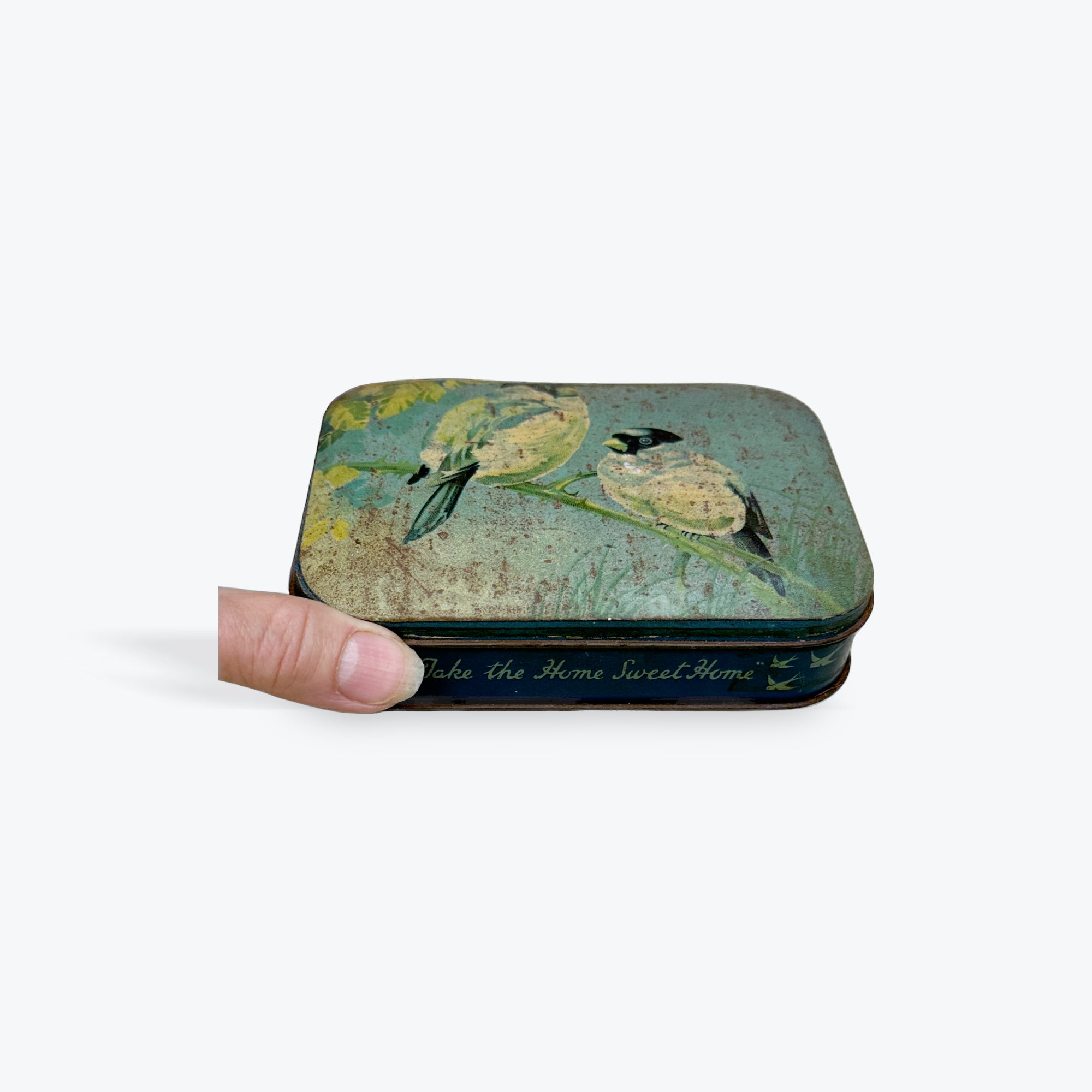Blue Bird Toffee Tin  Vintage