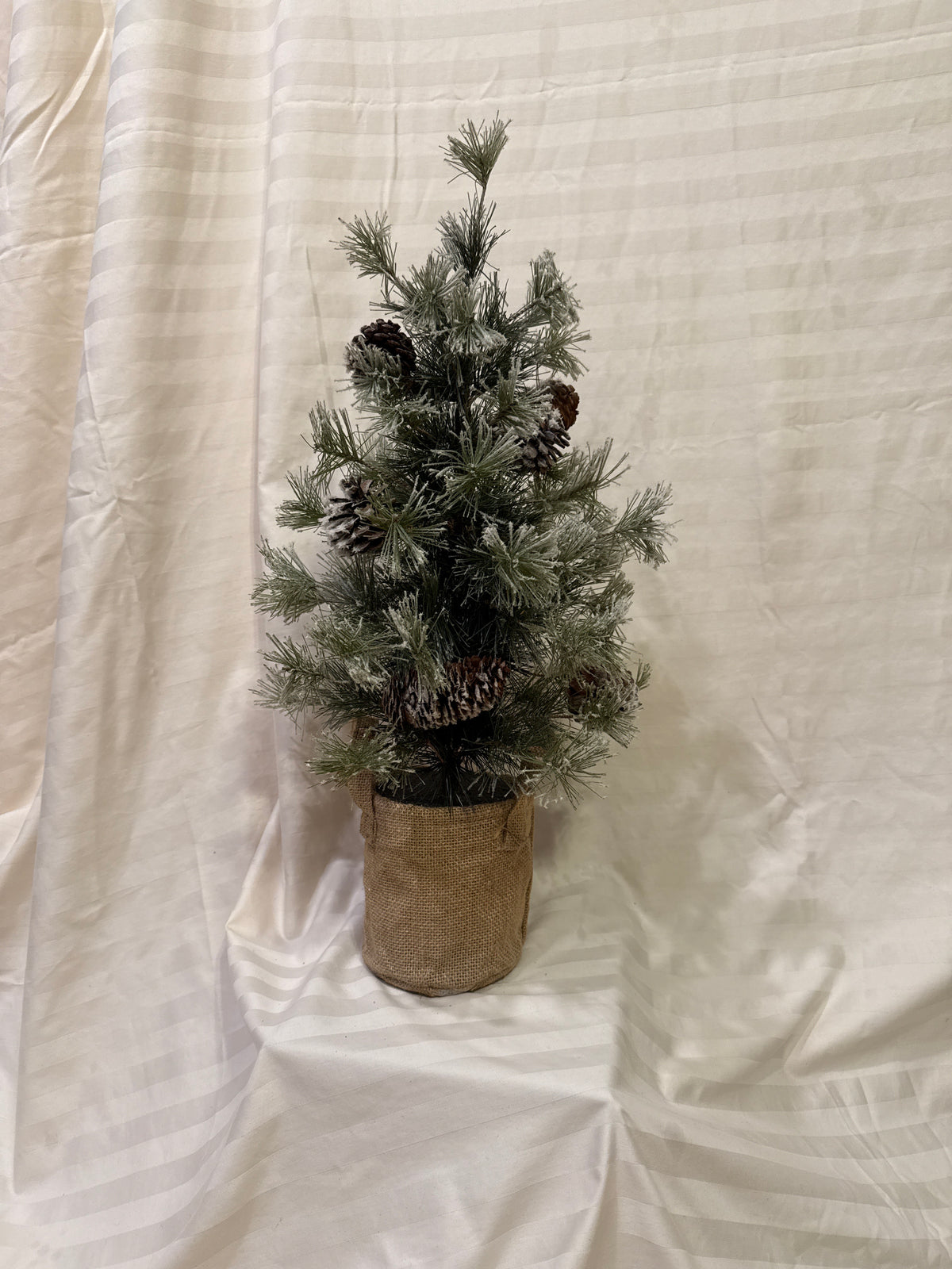 Tree in Burlap Bag