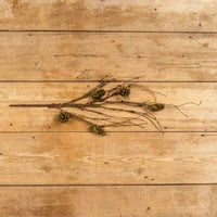 Mossy Pinecone & Twig Spray