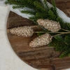 Champaign Pinecone Spray  24"