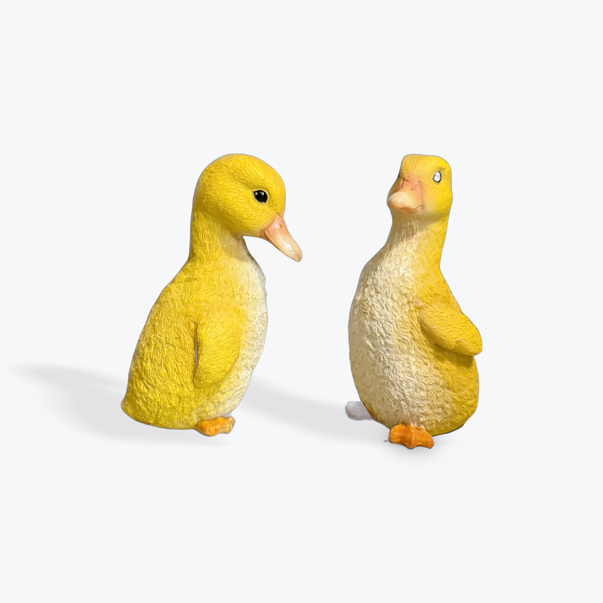 Garden Ducklings