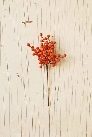 Cranberries Pick | Orange | 12"