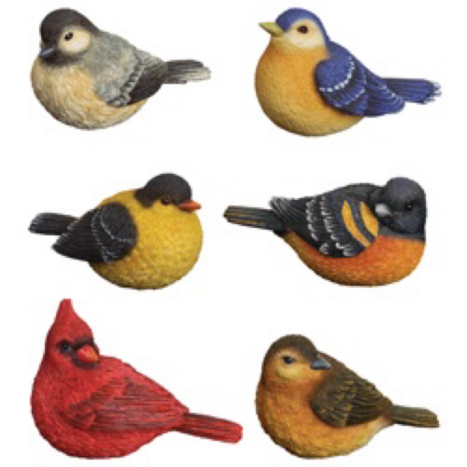 Songbird Mini | Assorted