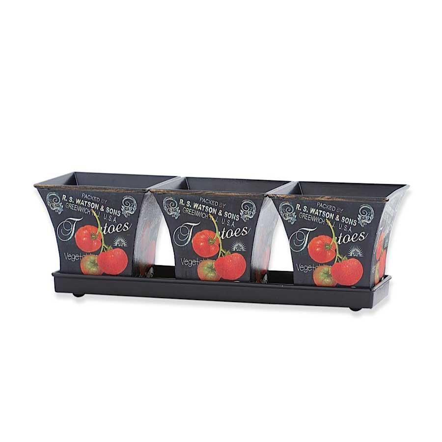 Black Poly Tray w/3 TOMATO Pots | 14.25"L