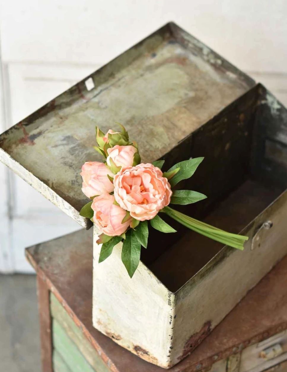 Peach Peony Bundle 11”