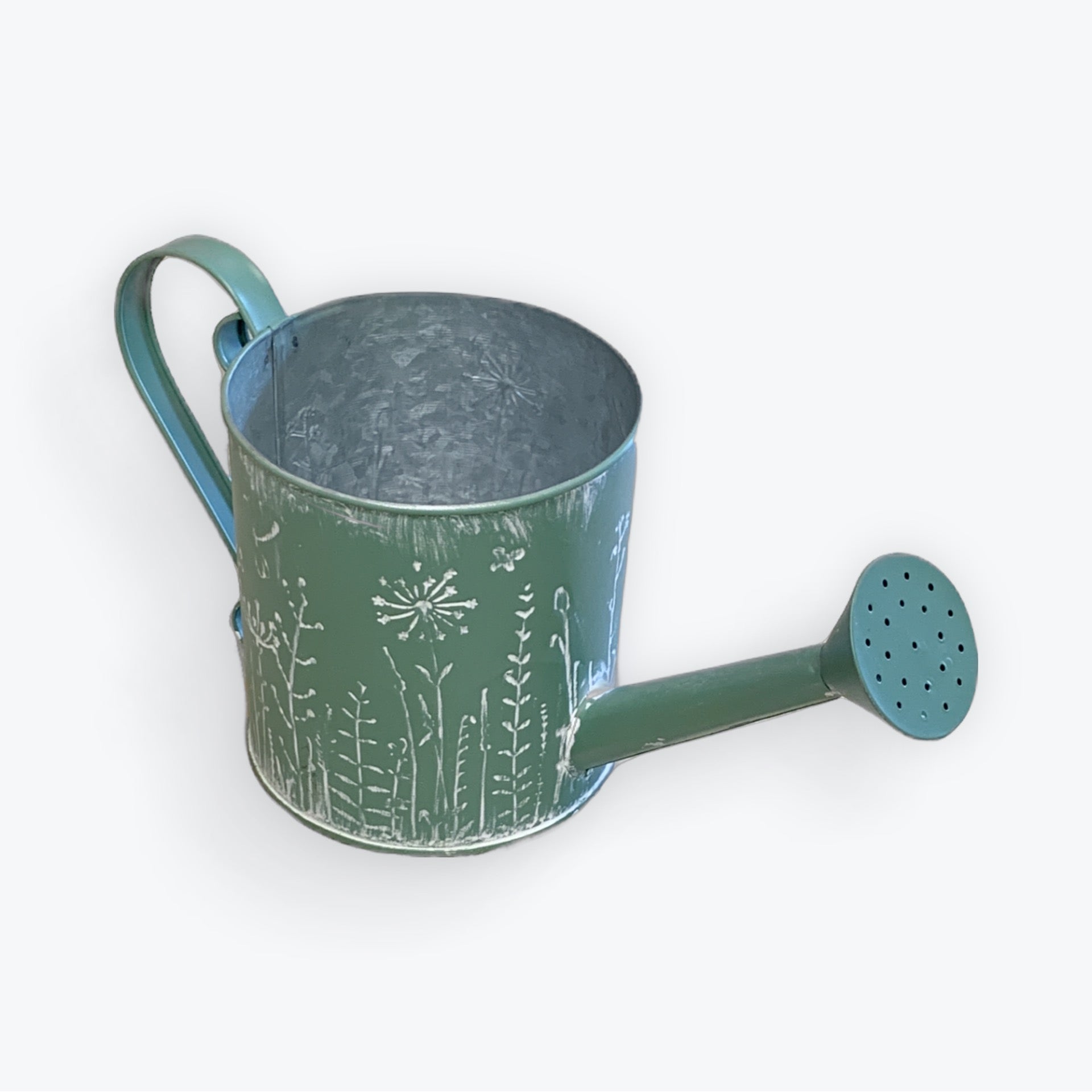 Green Watering Can