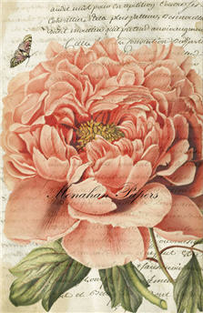 MONAHAN PAPERS - Artist 24"x26" Color Paper