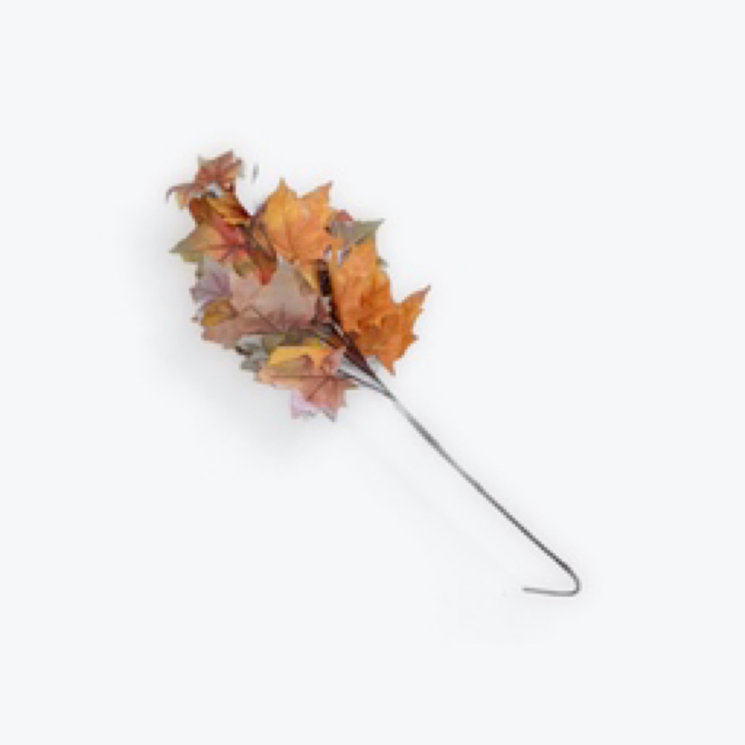 Fall Leaf Stem