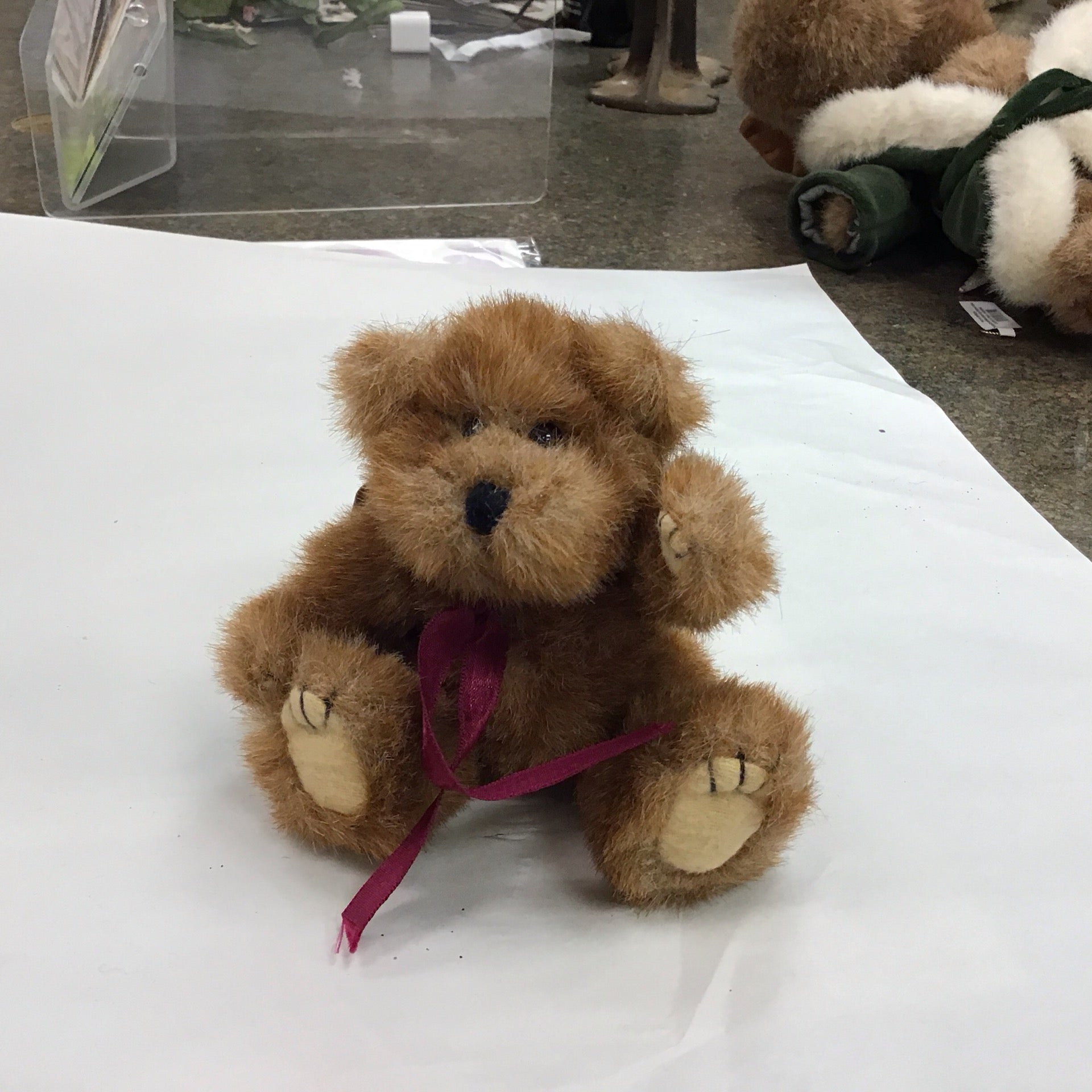 Nutmeg Bear