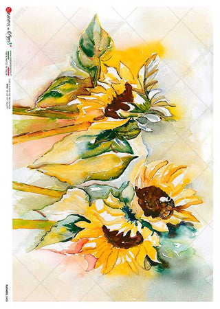 Rice Paper A3 Paper Designs Watercolor Sunflowers Flower