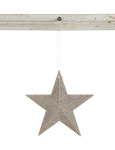 Gold Plastic Star | 4.25"H