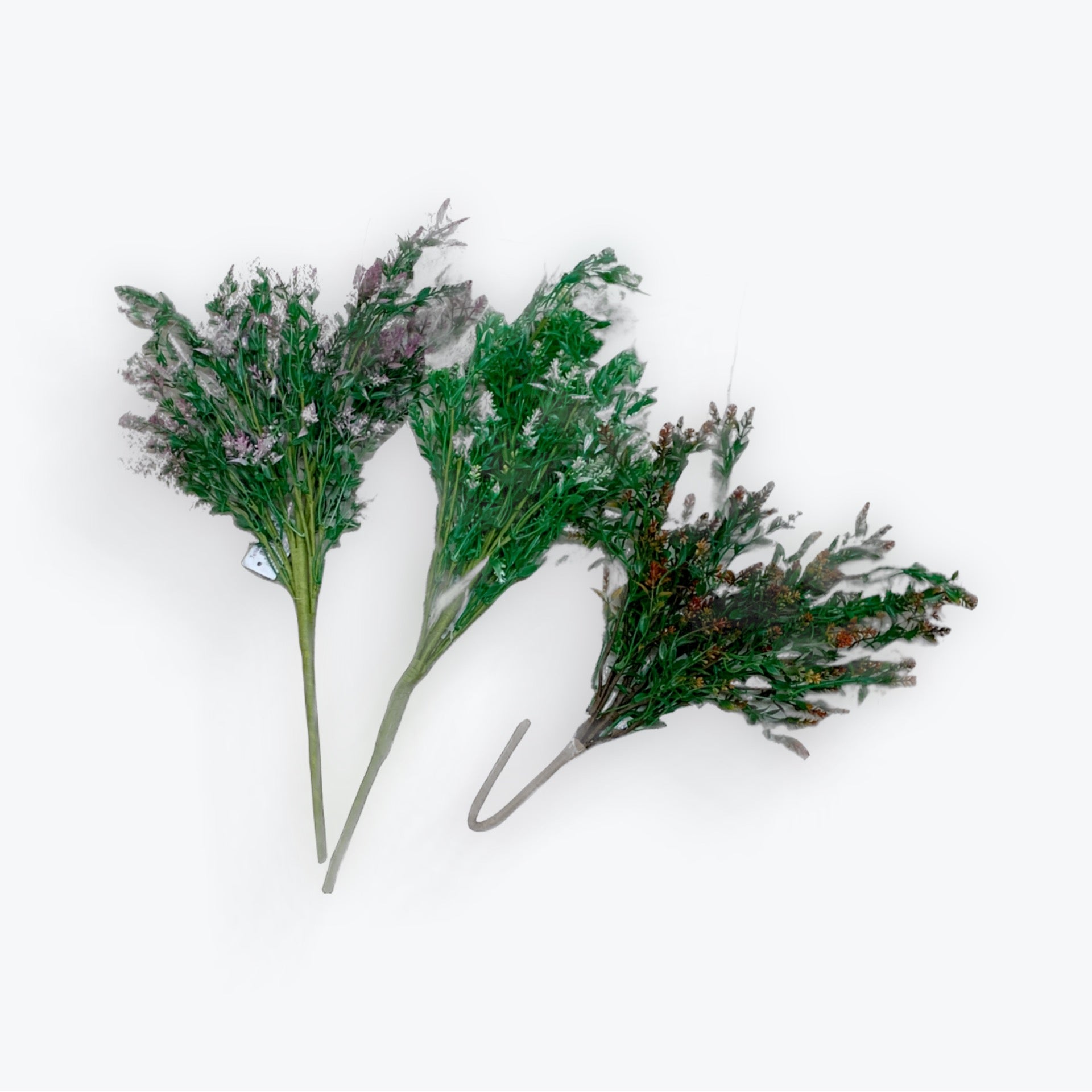 Filler Bush