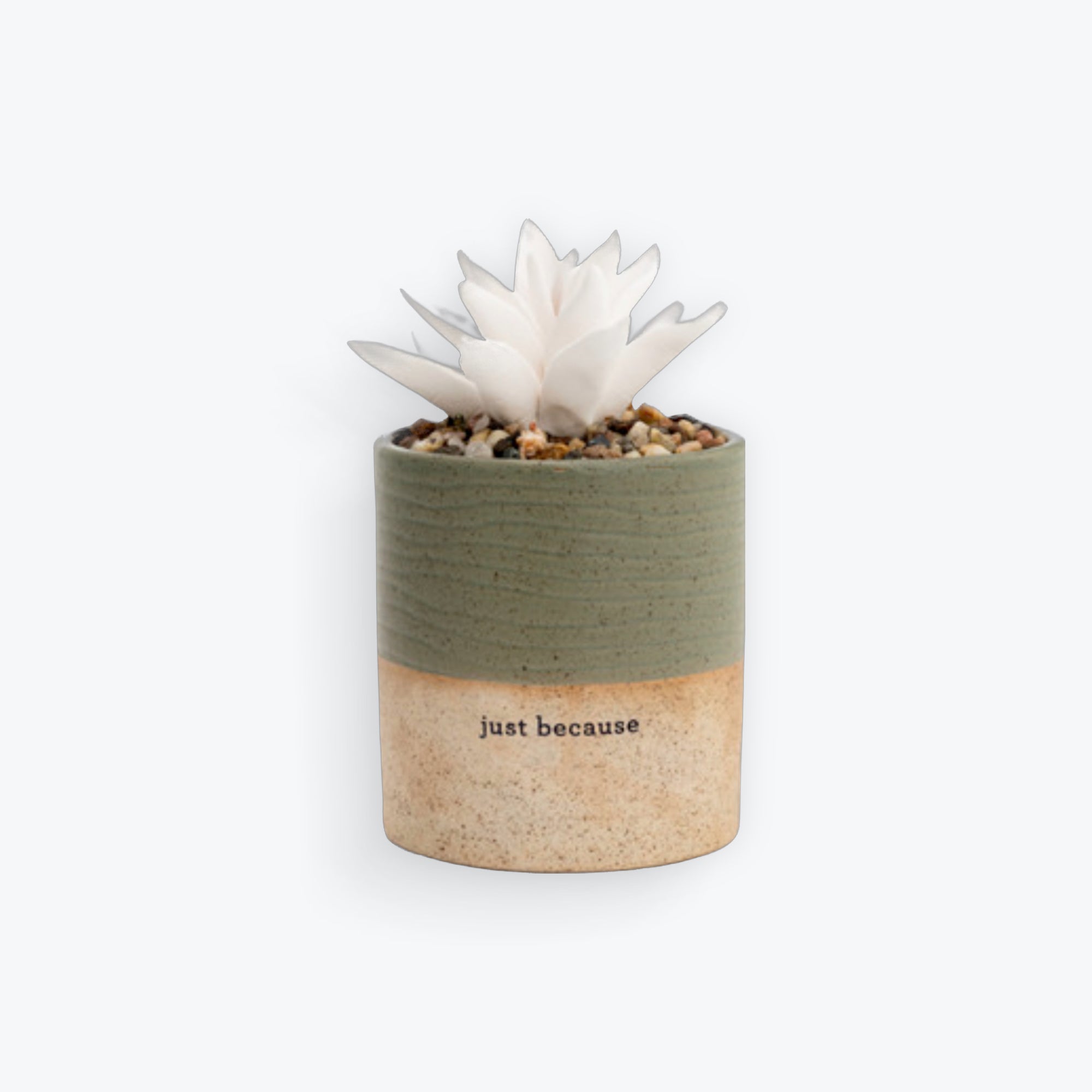 Succulent Oil Diffuser - Just Because