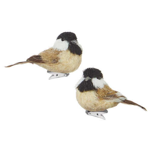 CLIP-ON BIRD ORNAMENT, 2 Asst | 2.75"