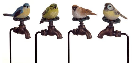 Garden Perched Bird On Faucet