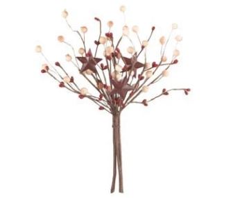 Farmhouse Star Bunch | 10"