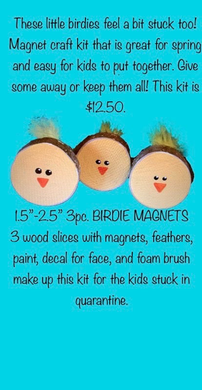 Birdie Magnets Project Box Kit