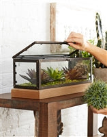 Glass Rectangle Box