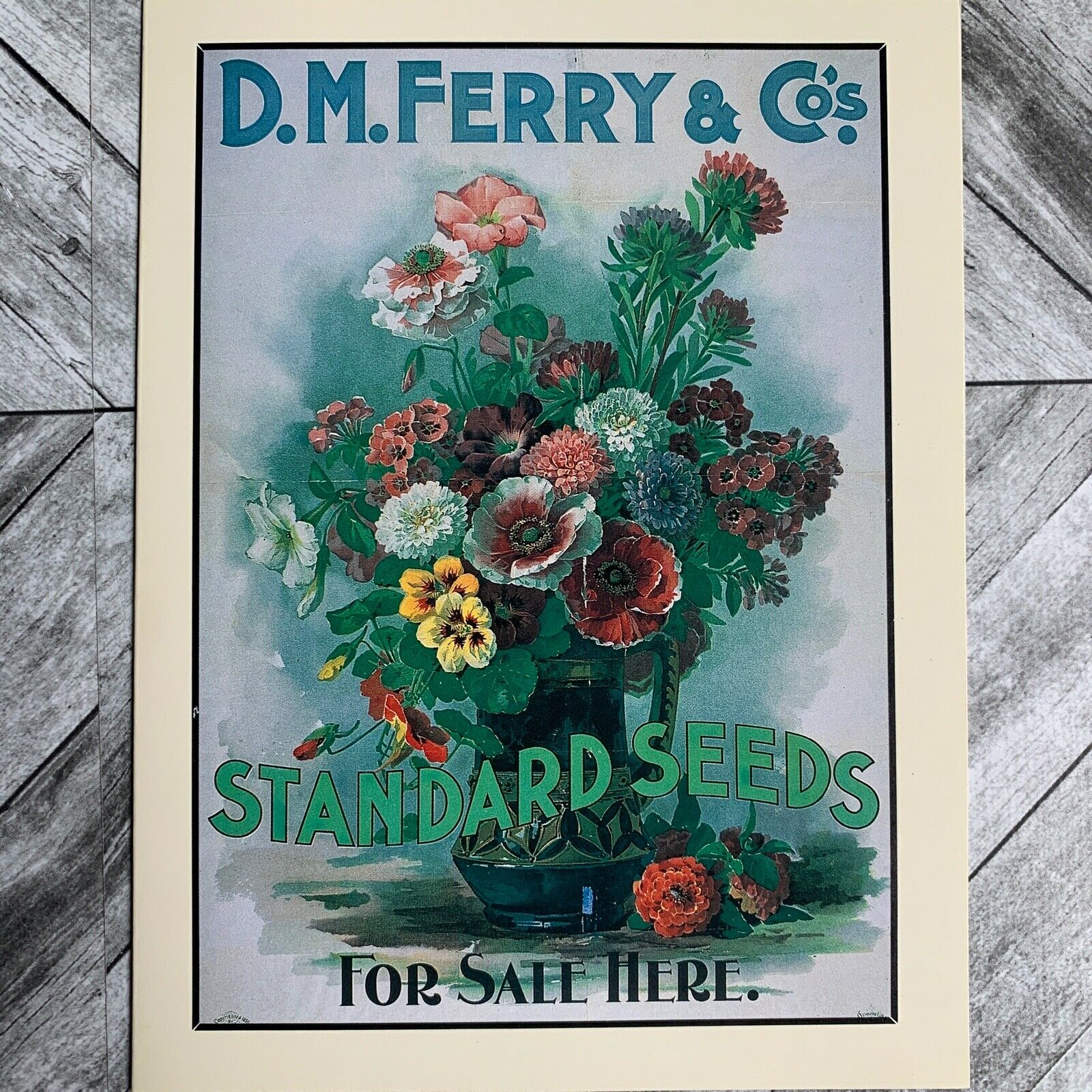 D.M. Ferry & Co. Standard Seeds | 5x7"