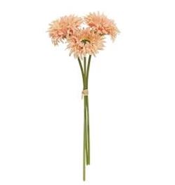 Gerbera Daisy Trio