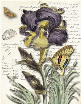 MONAHAN PAPERS - Artist 24"x26" Color Paper