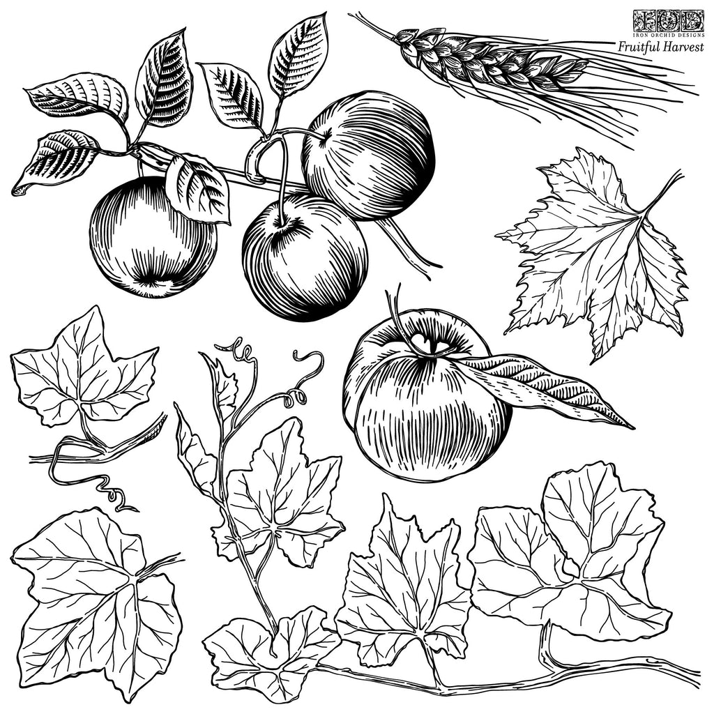 Fruit