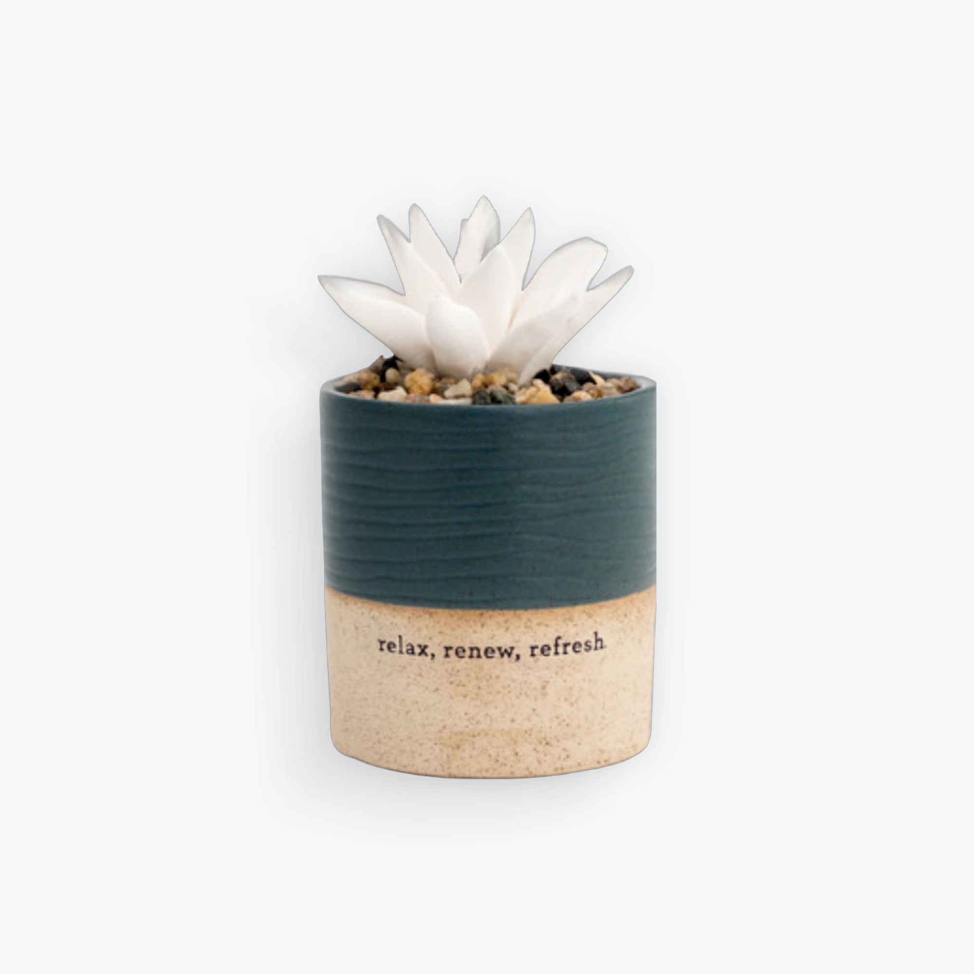 Succulent Oil Diffuser - Relax