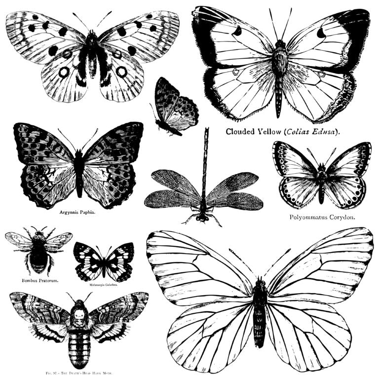 BUTTERFLIES DECOR STAMP™
