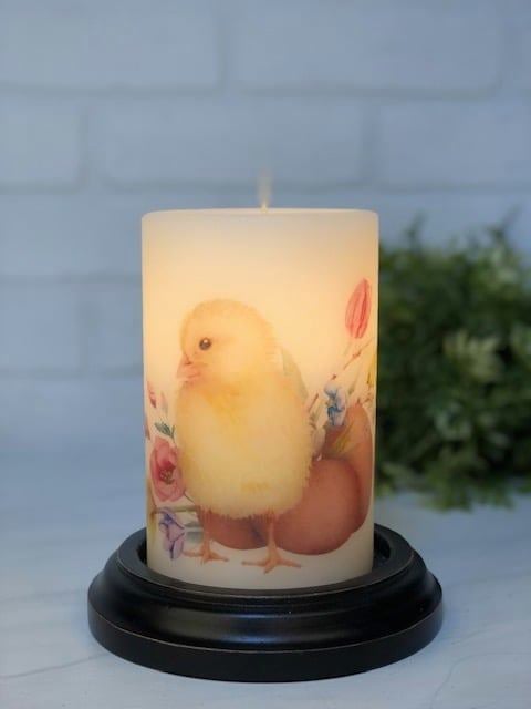 LastingLife Sleeve Spring Chick & Eggs