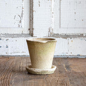 Antiqued White Rose Pot w/Saucer | Small