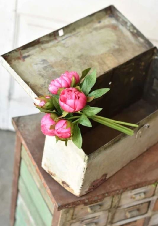 Beauty Peony Bundle 11”