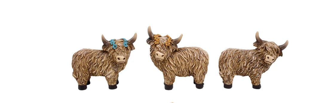 Highland Cow Brown & White