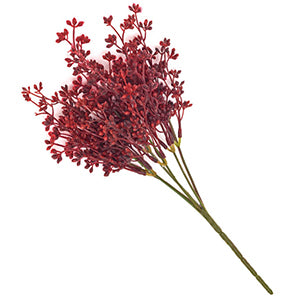Burgundy Seeded Bush | 14"