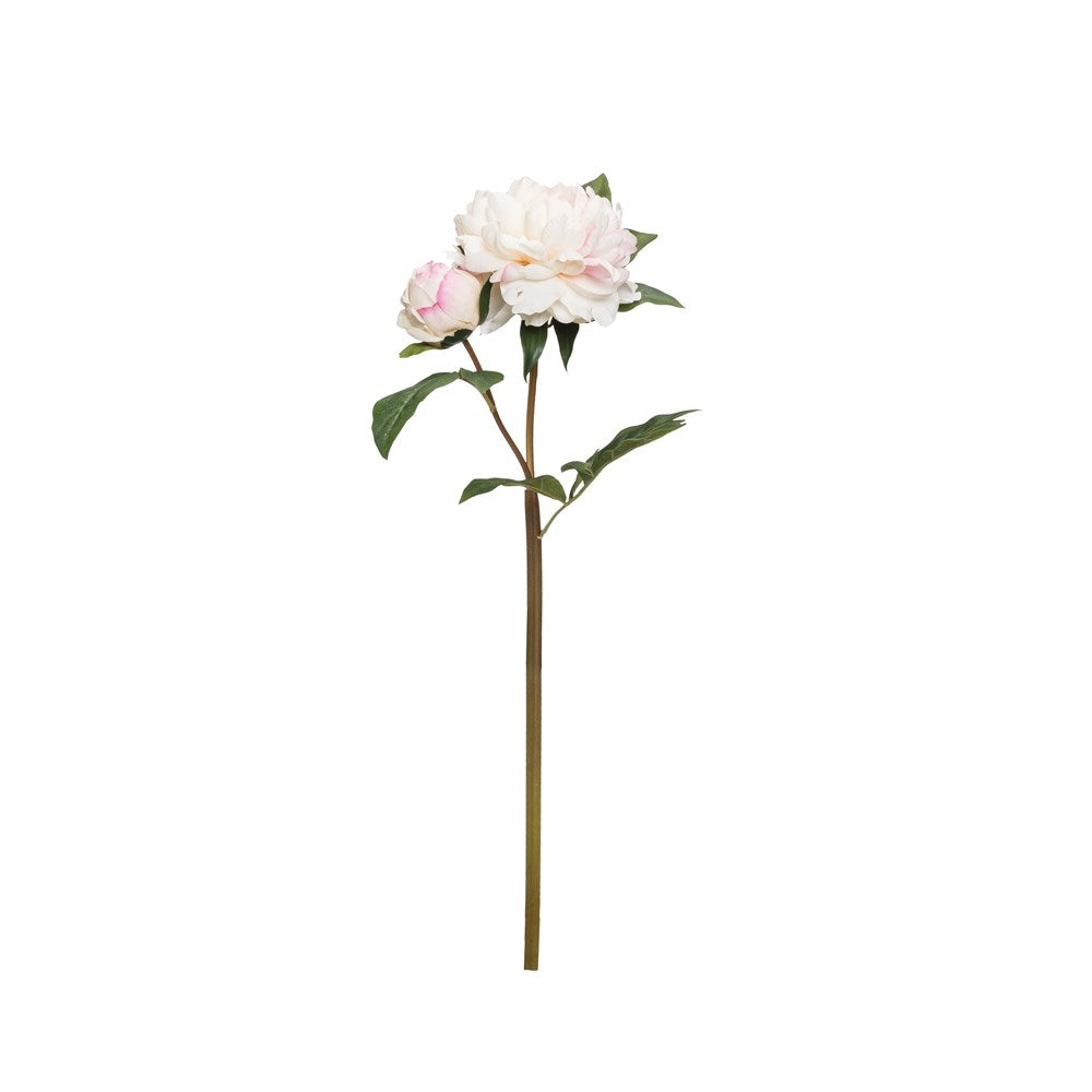Faux Peony Stem, Blush Color | 22"H