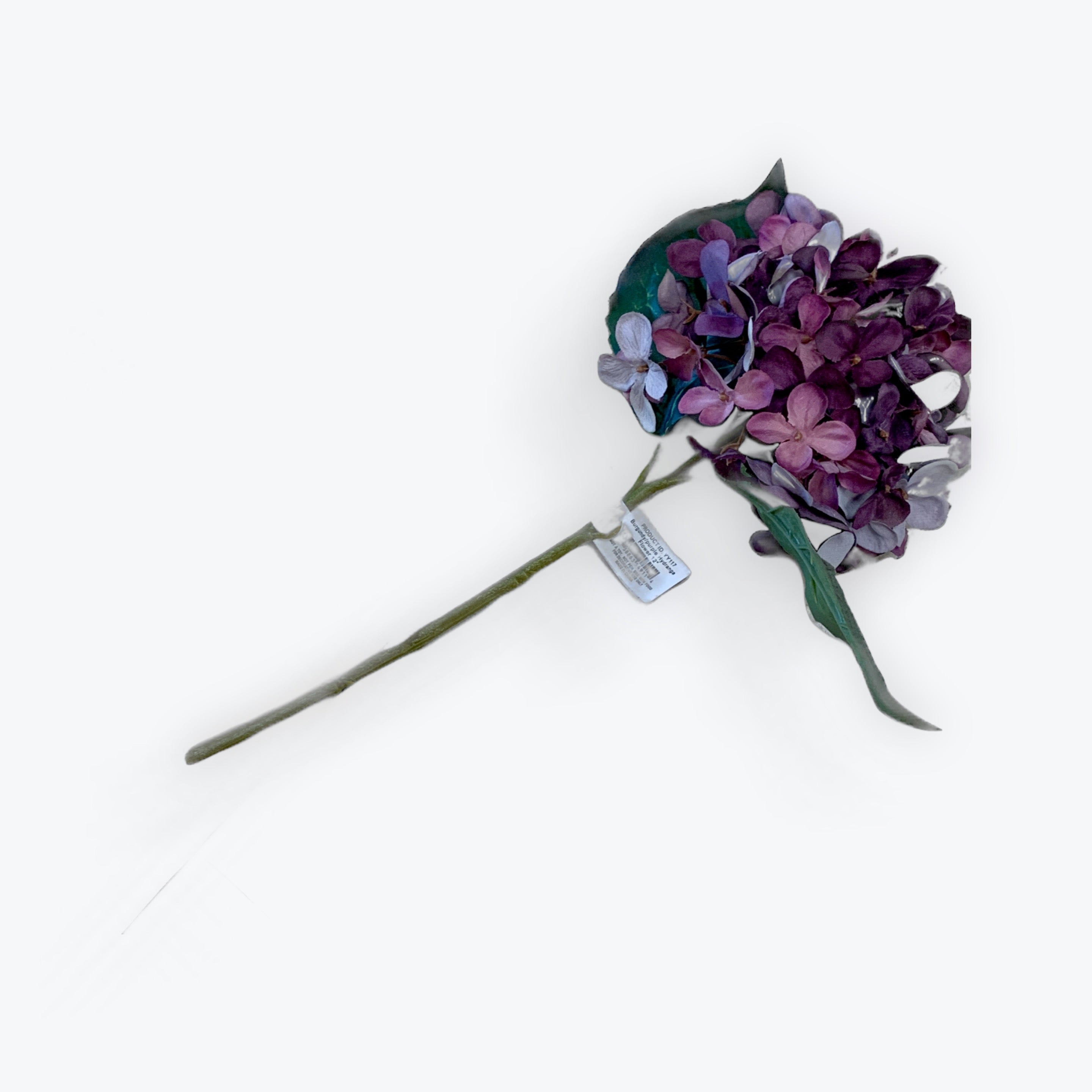 Burgundy/Purple Hydrangea Stem