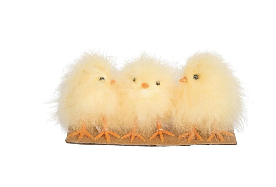 Fuzzy Chicks S/3