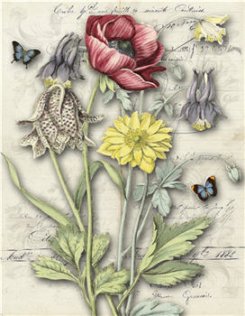 MONAHAN PAPERS - Artist 24"x26" Color Paper