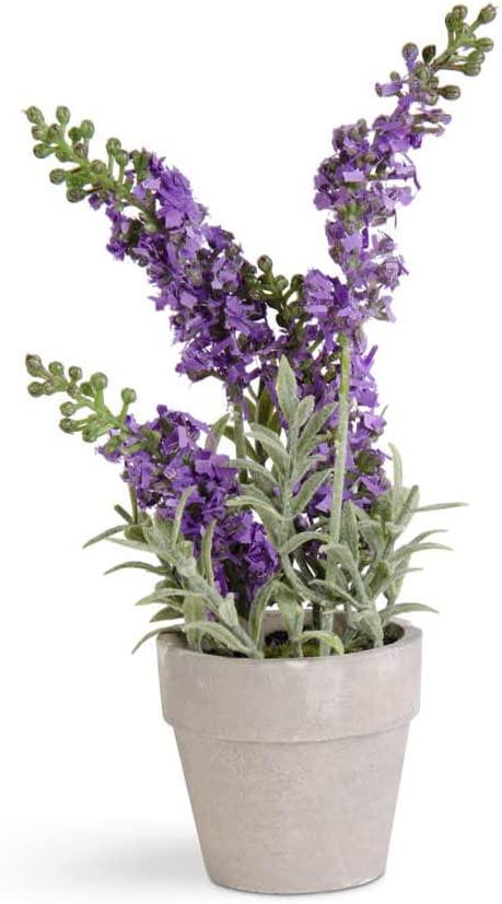 Potted Purple Lavender w/Wooden Tray