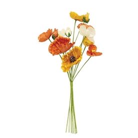 Orange, Cream, & Yellow Poppy Bush