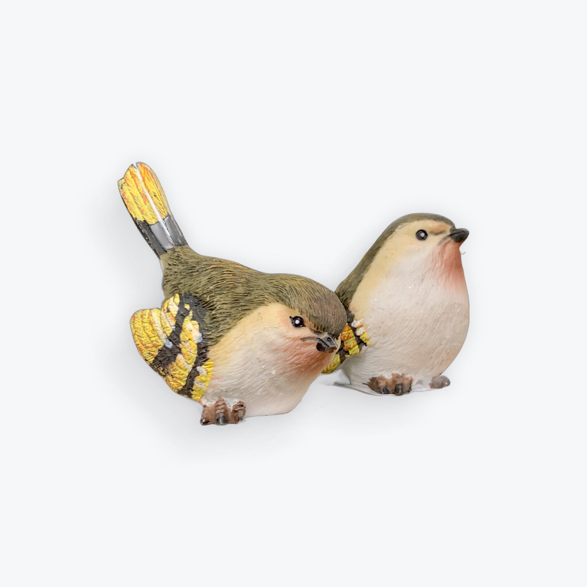 Wren/Finch