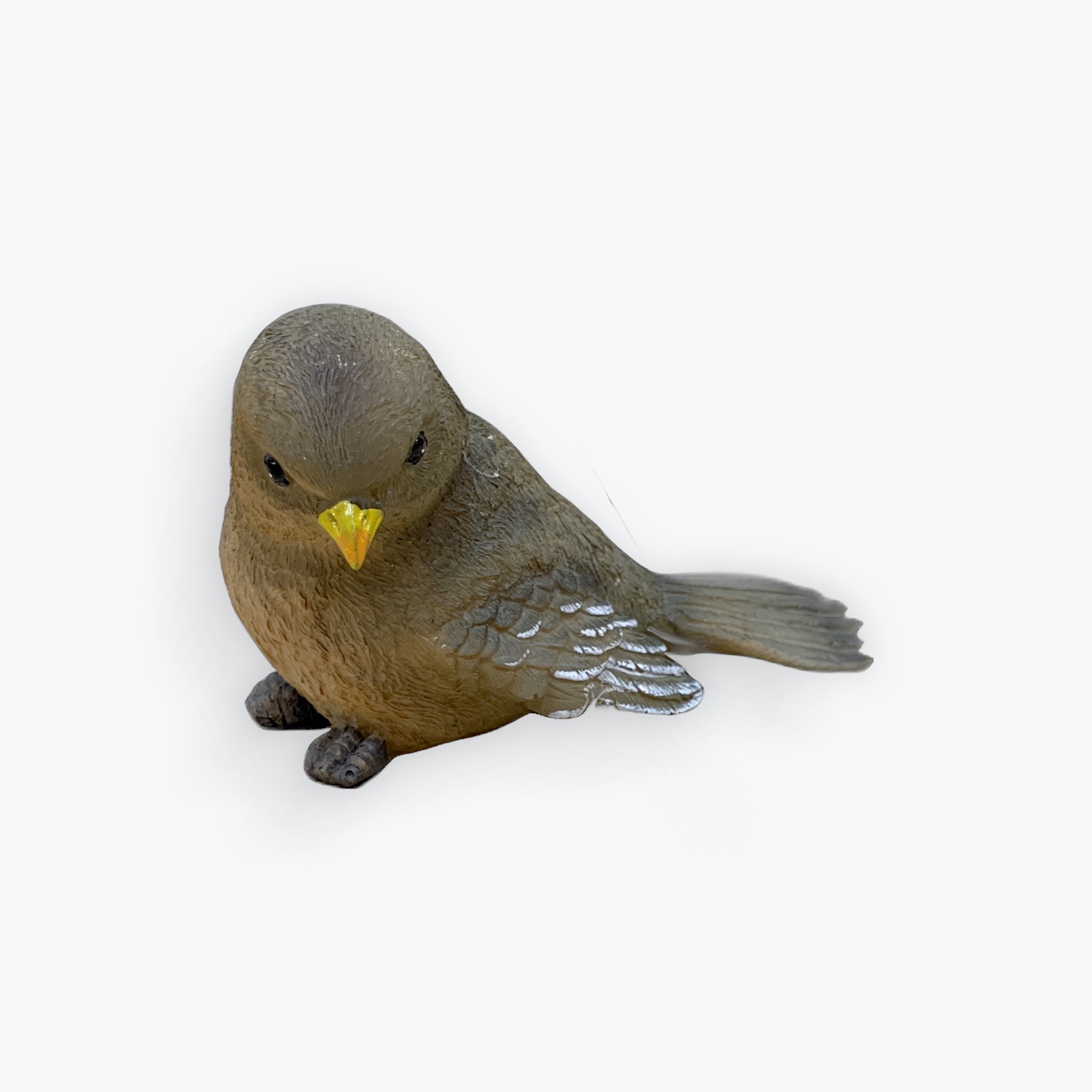 Sparrow