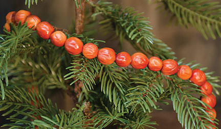 Orange Berry Garland | 4'