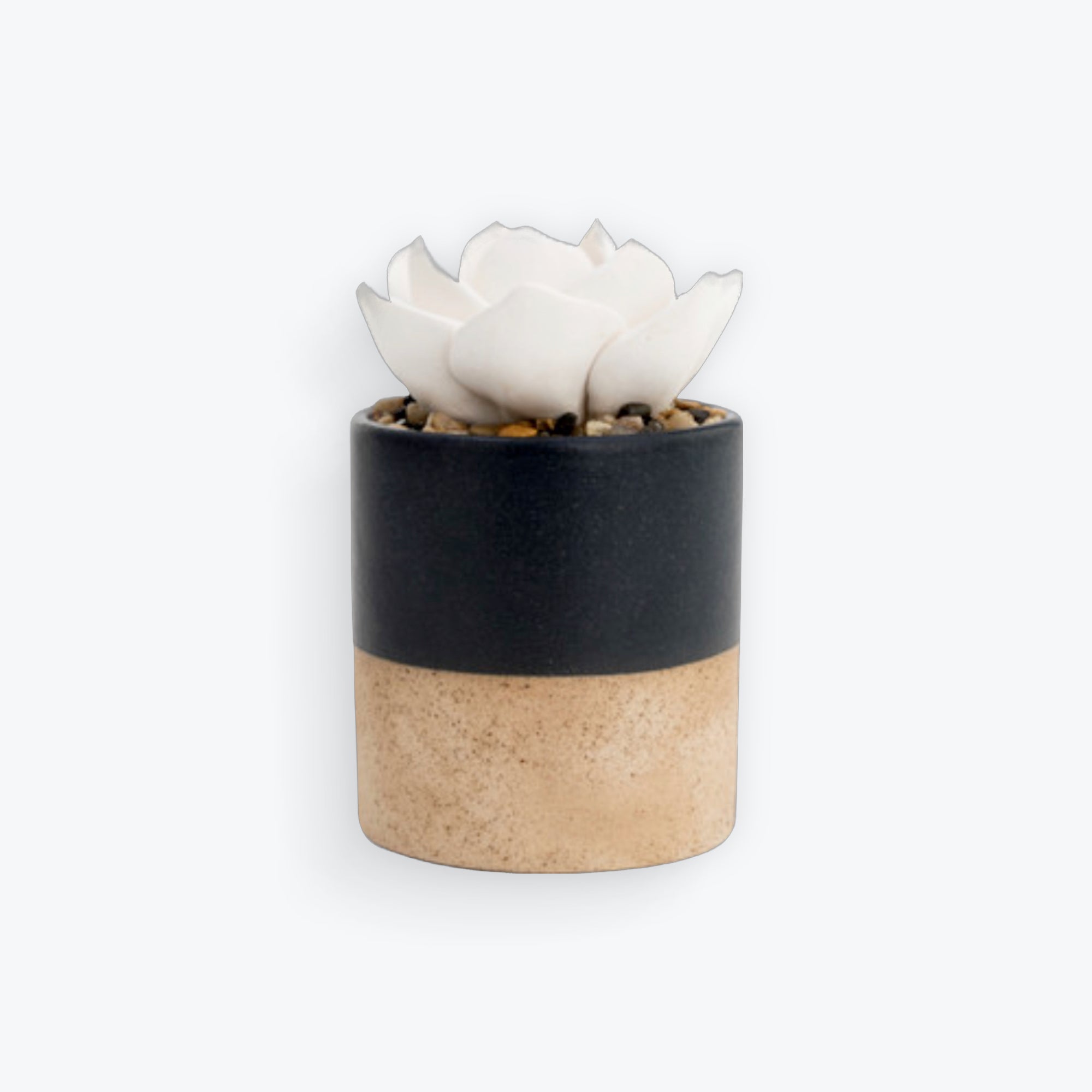 Succulent Oil Diffuser | Navy