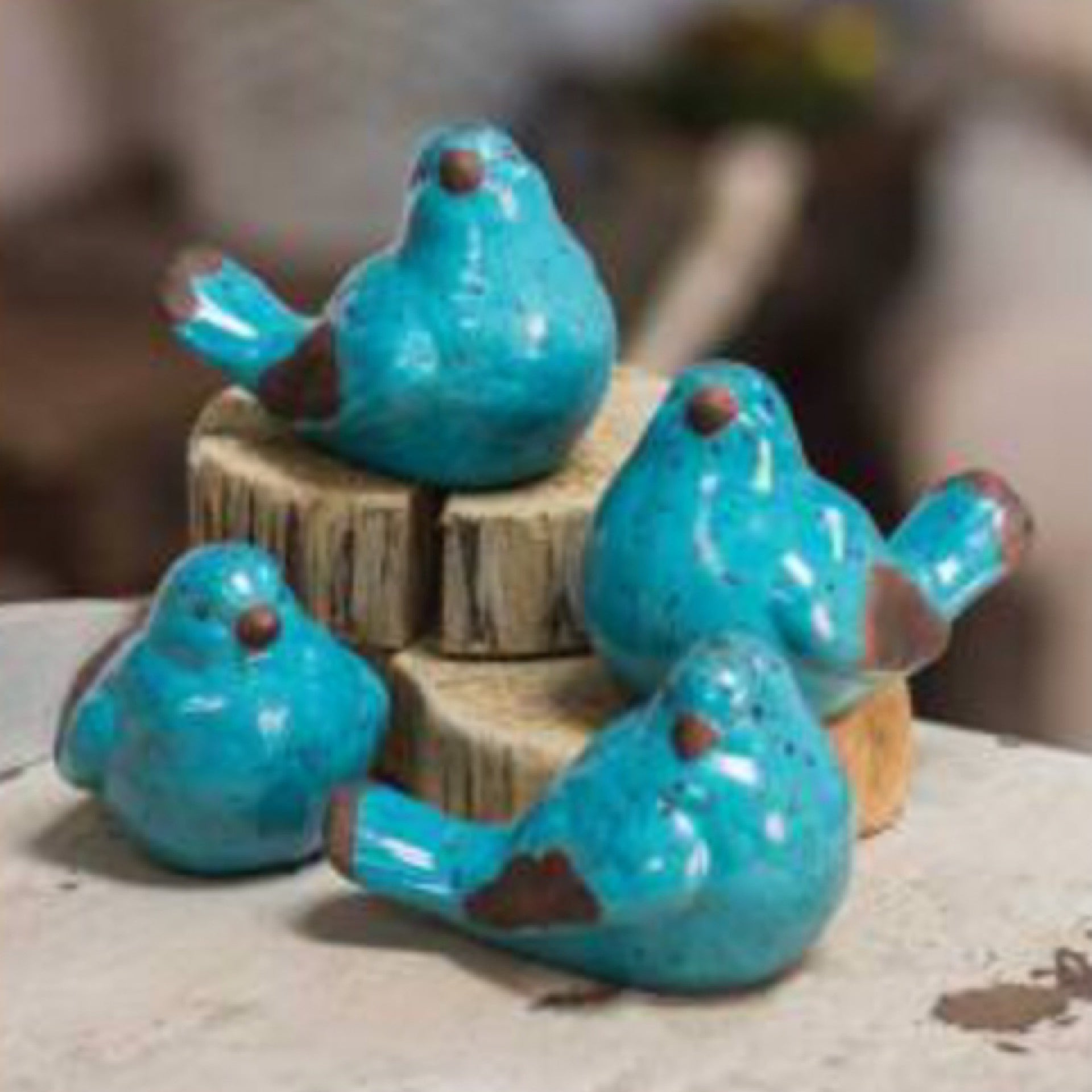 Blue Birds