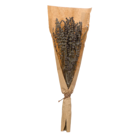 Dried Natural Lavender Bunch | 19"