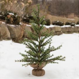 CHRISTMAS TREES | MULTIPLE SIZES