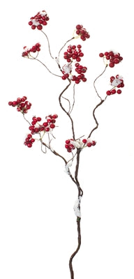 BERRY WITH SNOW SPRAY | 24"H