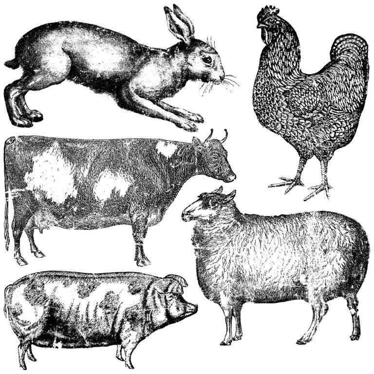FARM ANIMALS DECOR STAMPS™