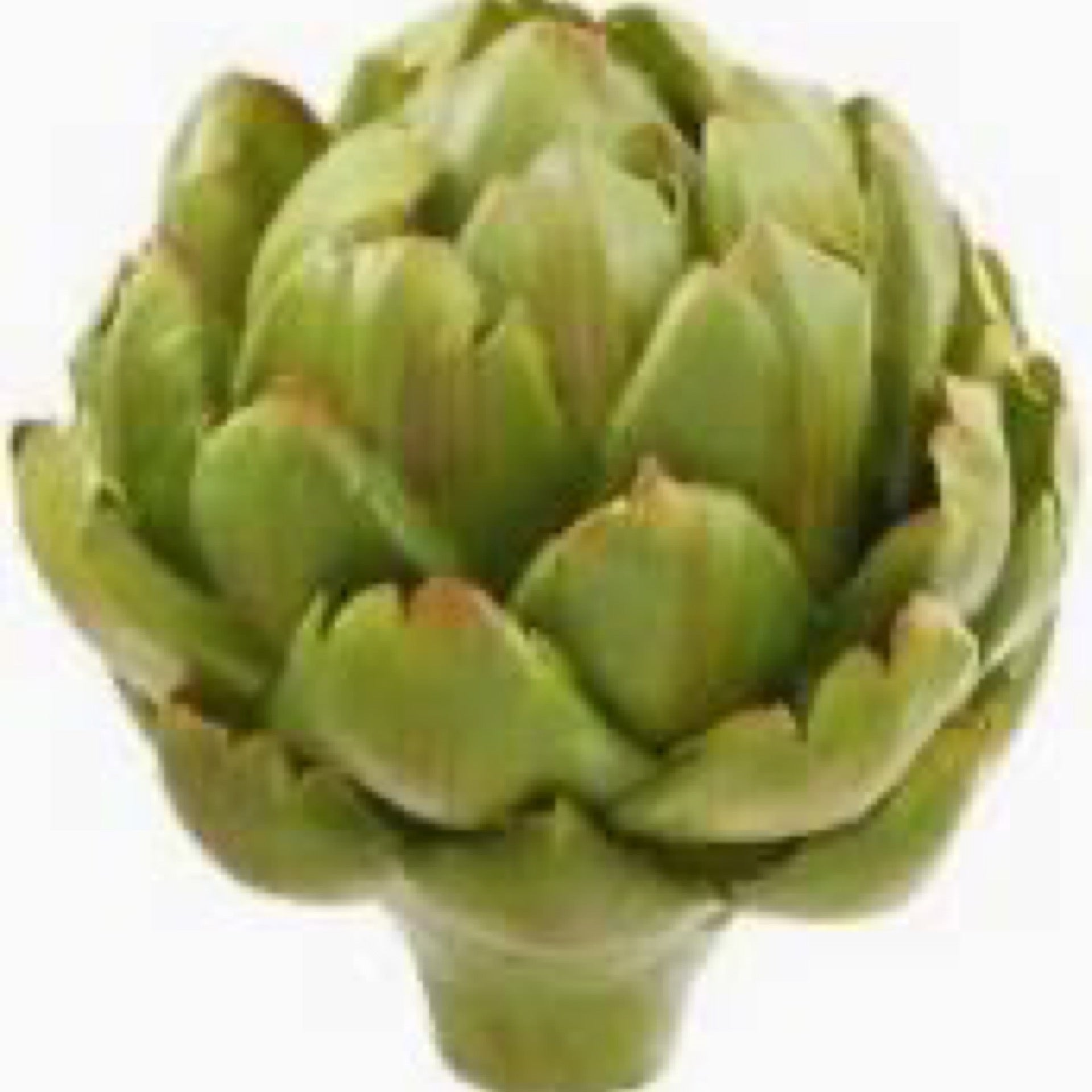 Green Artichoke