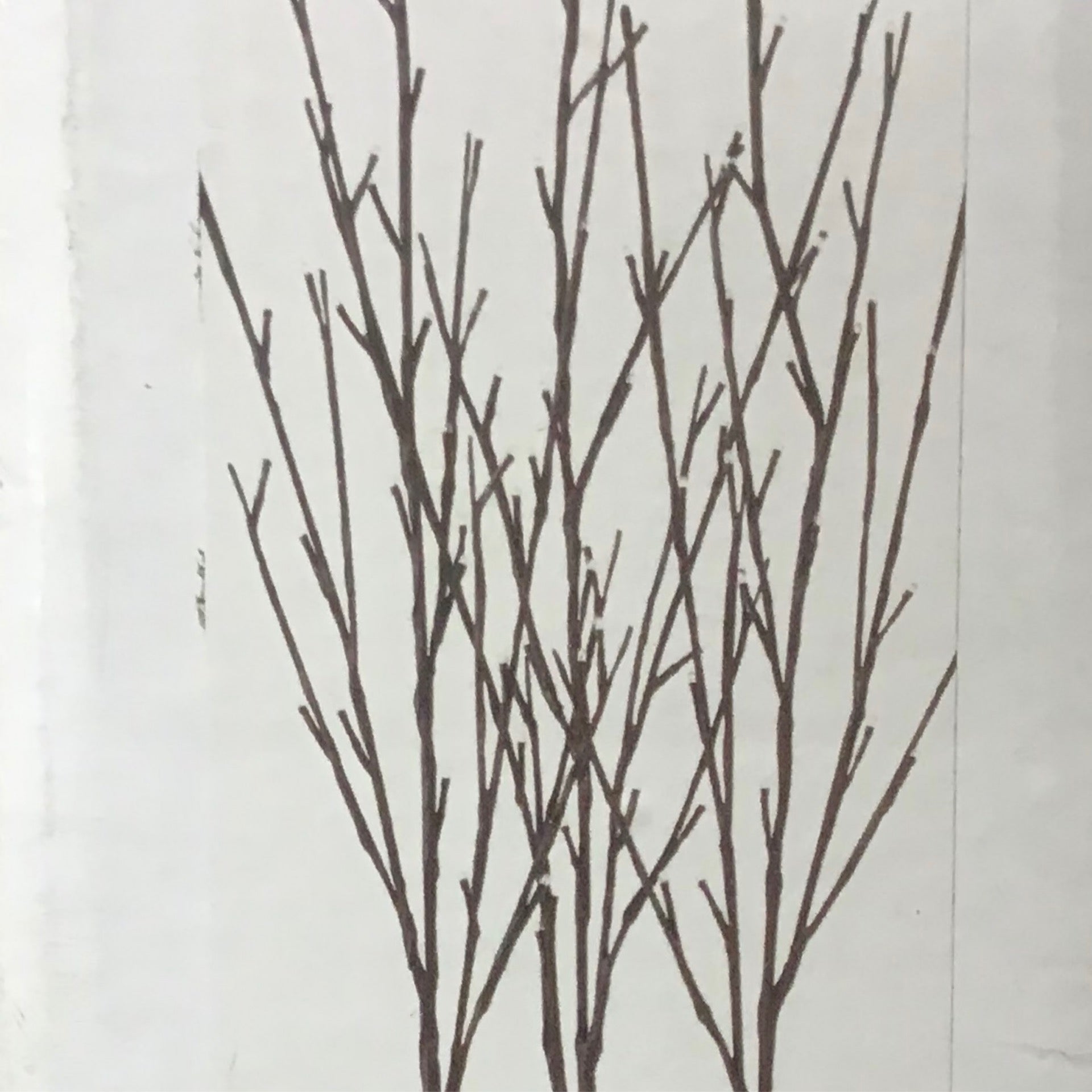 Brown Lighted Branch